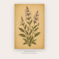 Pressed Lavender – botanical & floral art printable in Gold and Tan