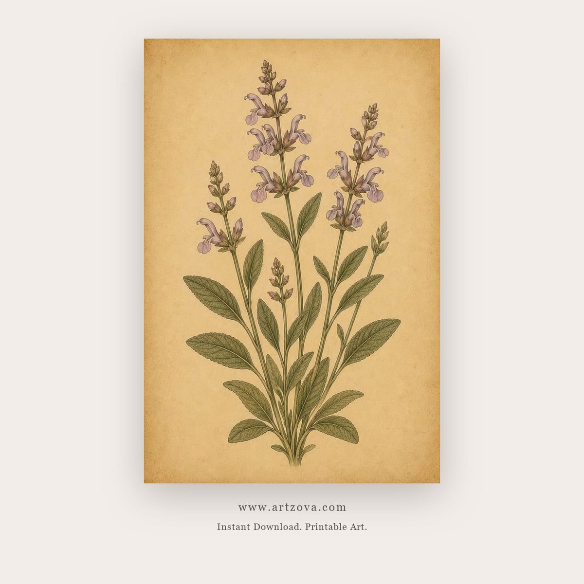 Pressed Lavender – botanical & floral art printable in Gold and Tan
