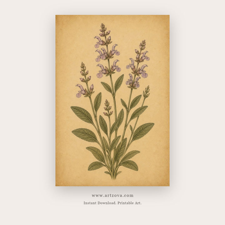 Pressed Lavender – botanical & floral art printable in Gold and Tan
