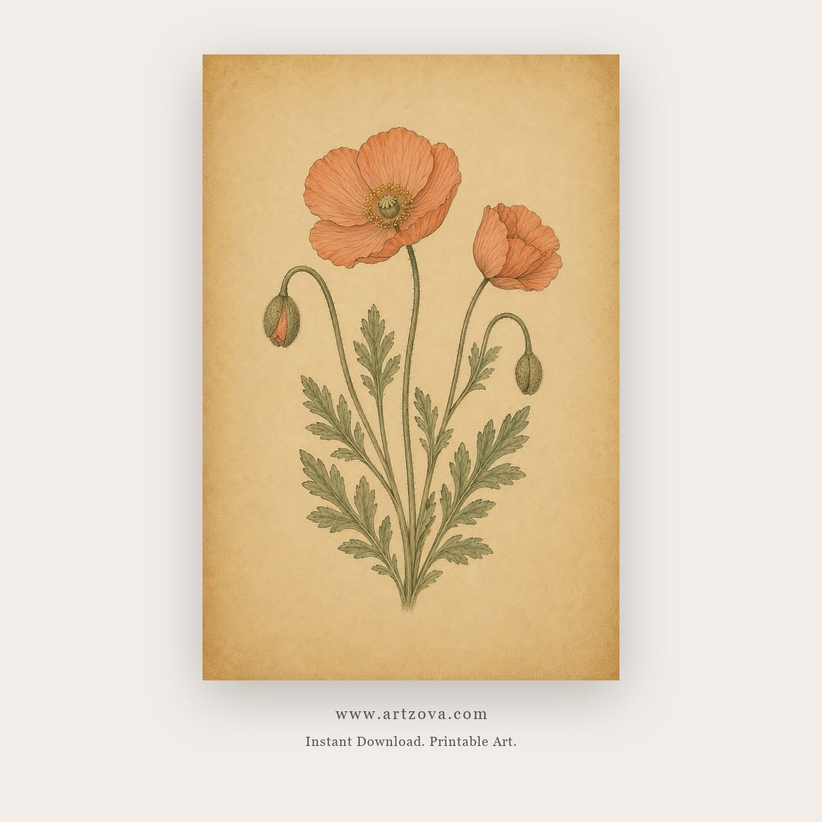 Vintage Coral Poppies – botanical & floral art printable in Gold and Coral