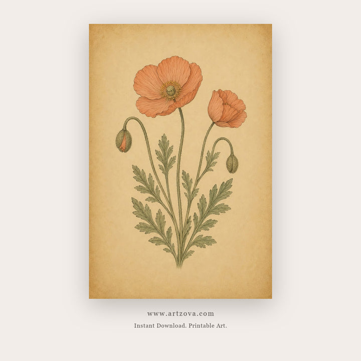 Vintage Coral Poppies – botanical & floral art printable in Gold and Coral