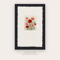 Red Poppy Herbarium – botanical & floral art printable in Red and Black
