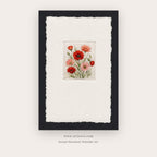 Red Poppy Herbarium – botanical & floral art printable in Red and Black