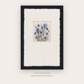 Blue Wildflower Herbarium – botanical & floral art printable in Blue and Black