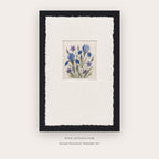Blue Wildflower Herbarium – botanical & floral art printable in Blue and Black