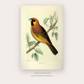 Meet Light printable bird wall art in Brown and Cream - Artzova
